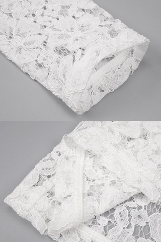 Long Sleeve High-Neck Lace Maxi Dress with Sheer Corset Design