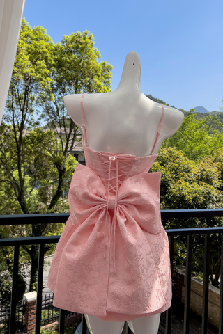 Pink Embroidered Lace Mini Dress with Back Bow & Corset Detailing