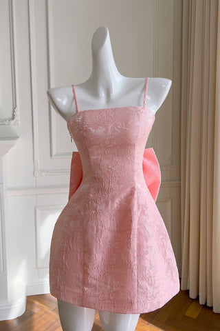 Pink Embroidered Lace Mini Dress with Back Bow & Corset Detailing