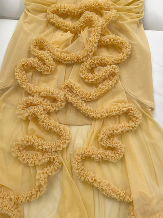 Elegant Sleeveless Long Mesh Dress with Ruffled Details