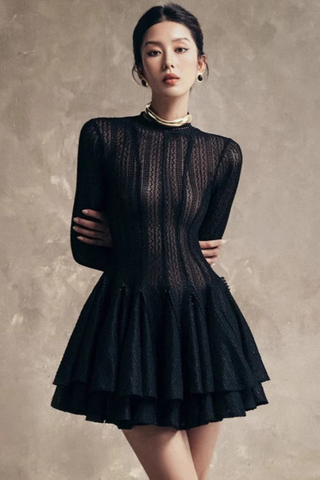 Elegant Lace Mesh Long Sleeve Layered Mini Dress