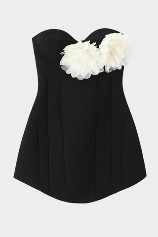 Strapless Corset-Style Mini Dress with Floral Appliqué Detail
