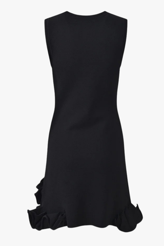 Floral Appliqué Sleeveless Knit Mini Dress