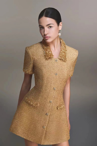 Gold Sequin Tweed Mini Dress with Beaded Fringe and Embellished Buttons