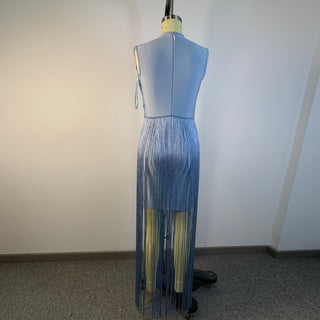 Metallic Fringe High Neck Sleeveless Long Dress