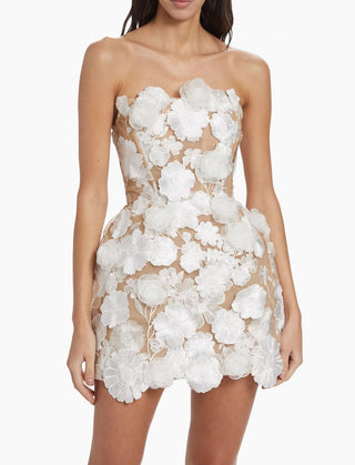 Floral Appliqué Strapless Mini Dress