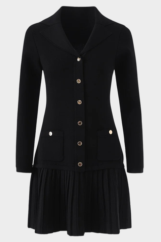 Button-Front Long Sleeve Knit Dress with Pleated Skirt
