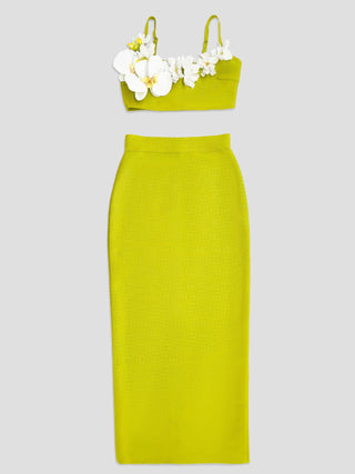 Floral Appliqué Crop Top & High-Waist Skirt Bandage Set