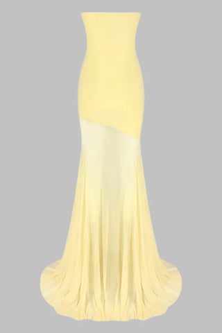 Strapless Sheer Panel Long Dress