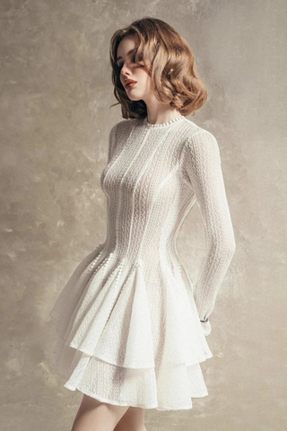 Elegant Lace Mesh Long Sleeve Layered Mini Dress