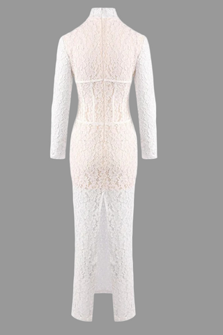 Long Sleeve High-Neck Lace Maxi Dress with Sheer Corset Design