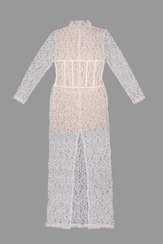 Long Sleeve High-Neck Lace Maxi Dress with Sheer Corset Design