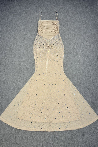 Crystal Embellished Backless Evening Mesh Long Dress