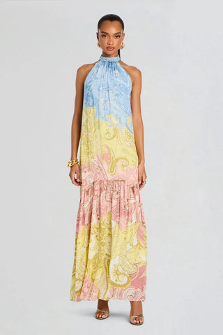 Paisley Print Halter Neck Backless Long Dress