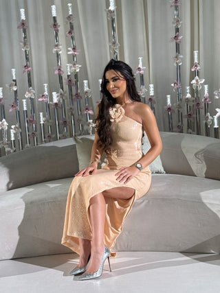 Bloom Sequin Halter neck backless long dress