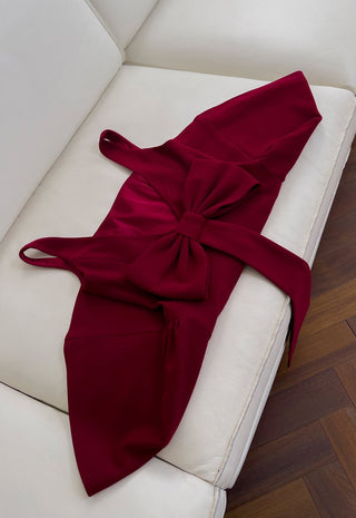 Elegant Burgundy Sleeveless Bow-Back Mini Dress