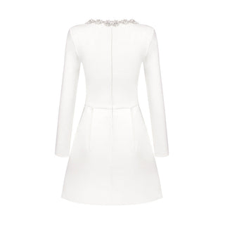 Diamond Elegance Long Sleeve Mini Dress