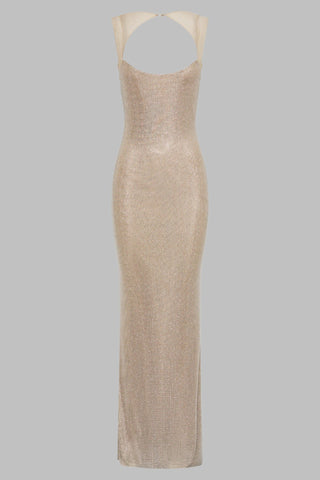 Sleeveless Rhinestone Mesh Bodycon long Dress with Open Back