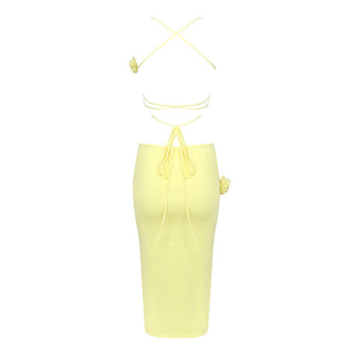 Halter Neck Flower Bandage Backless Long Dress