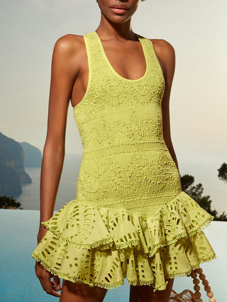 Ruffled Embroidered Sleeveless Mini Dress