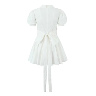 V Neck Charm Mini Dress